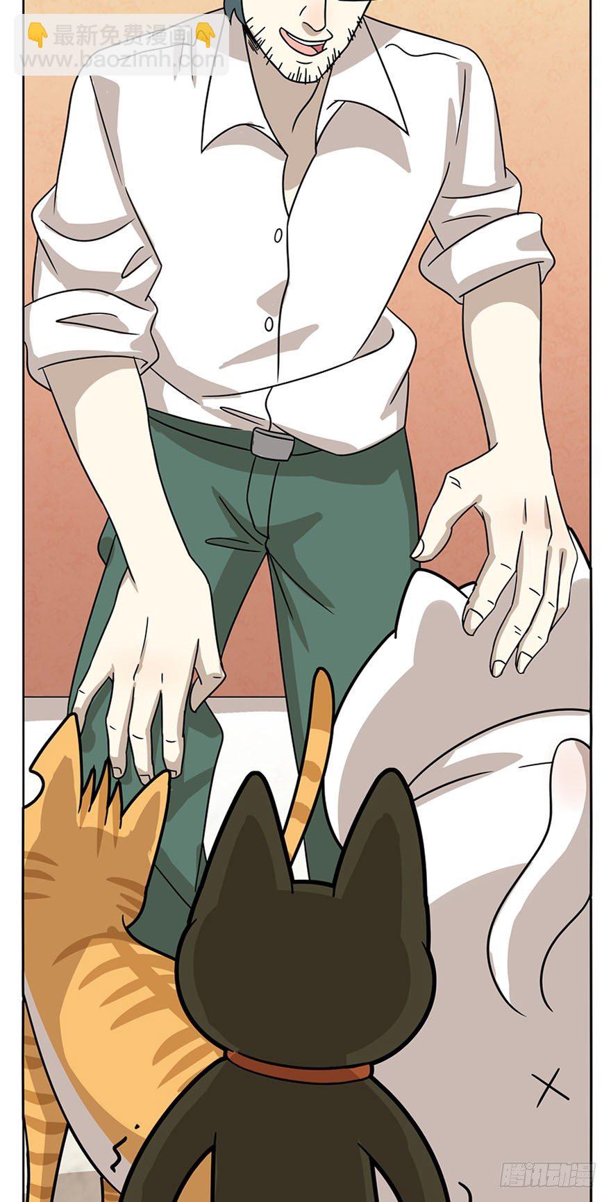 《回到过去变成猫外传》第14爪 服不服！ 第22页