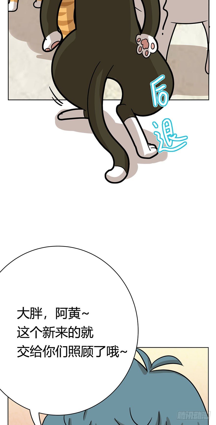 《回到过去变成猫外传》第14爪 服不服！ 第23页