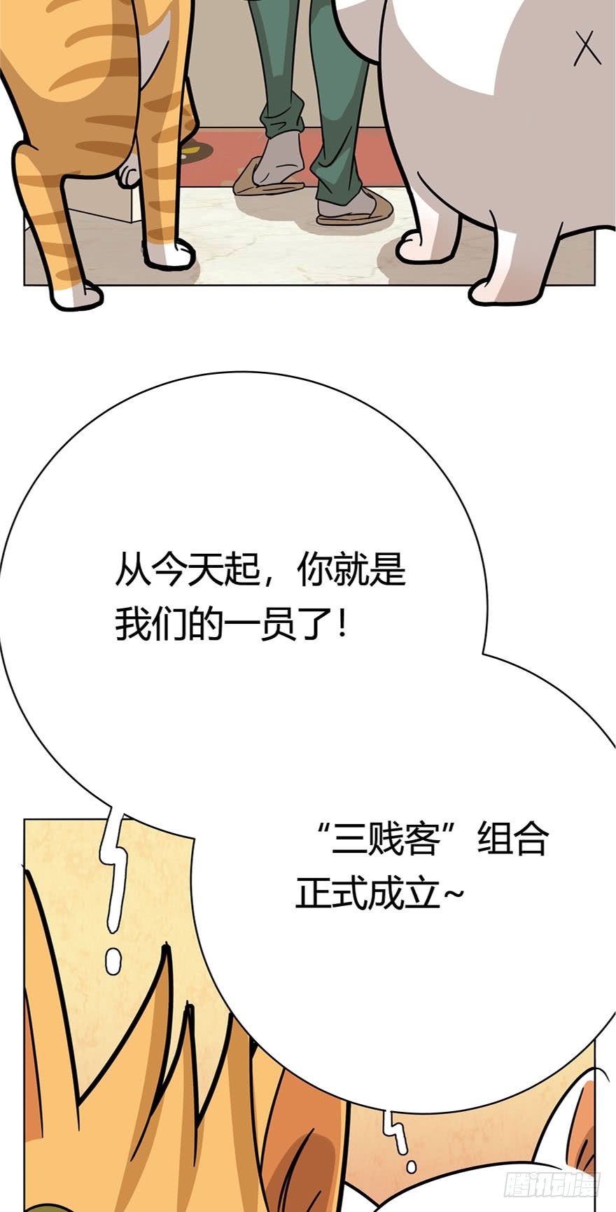 《回到过去变成猫外传》第14爪 服不服！ 第29页