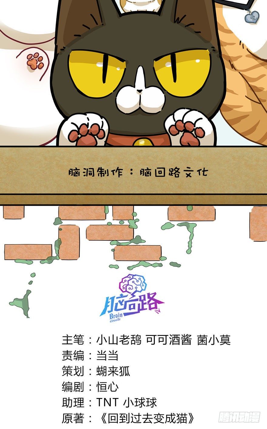 《回到过去变成猫外传》第14爪 服不服！ 第2页