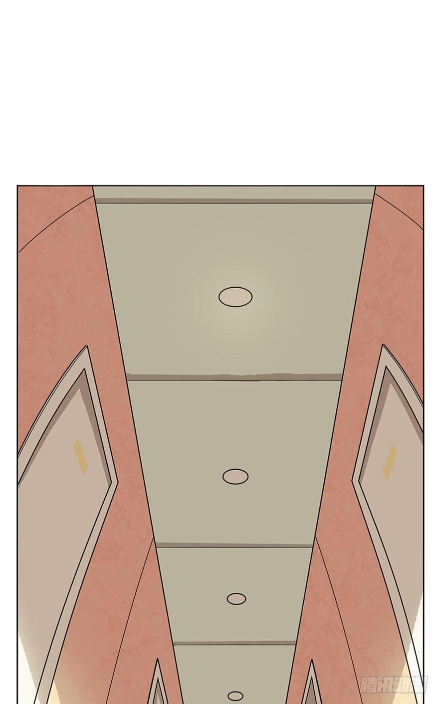 《回到过去变成猫外传》第14爪 服不服！ 第3页