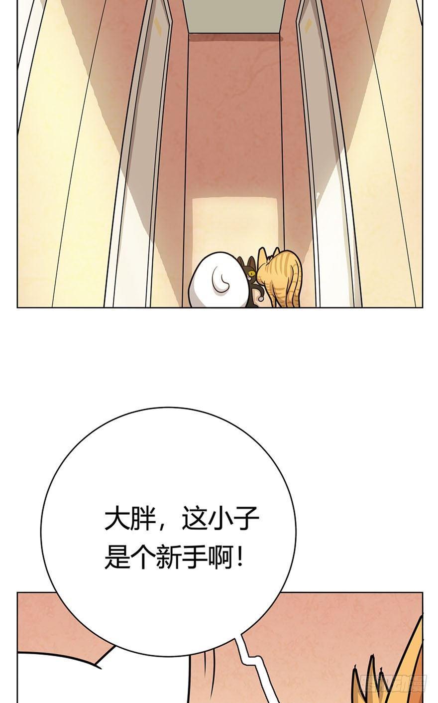 《回到过去变成猫外传》第14爪 服不服！ 第4页