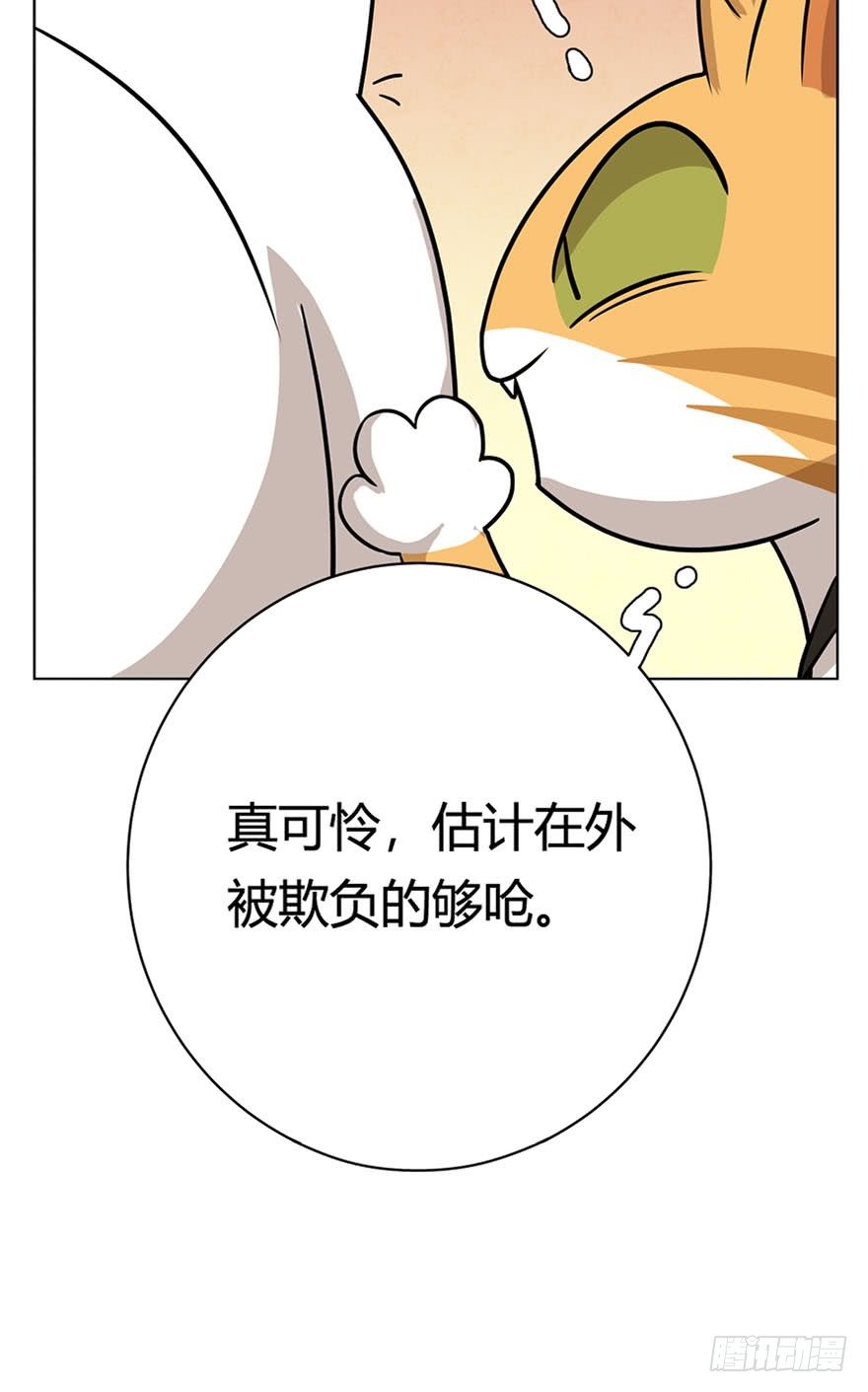 《回到过去变成猫外传》第14爪 服不服！ 第5页