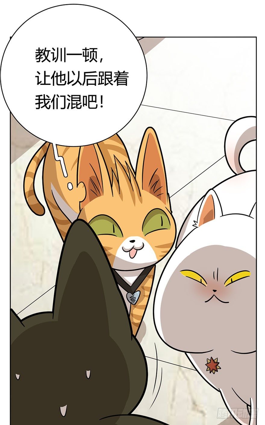 《回到过去变成猫外传》第14爪 服不服！ 第6页