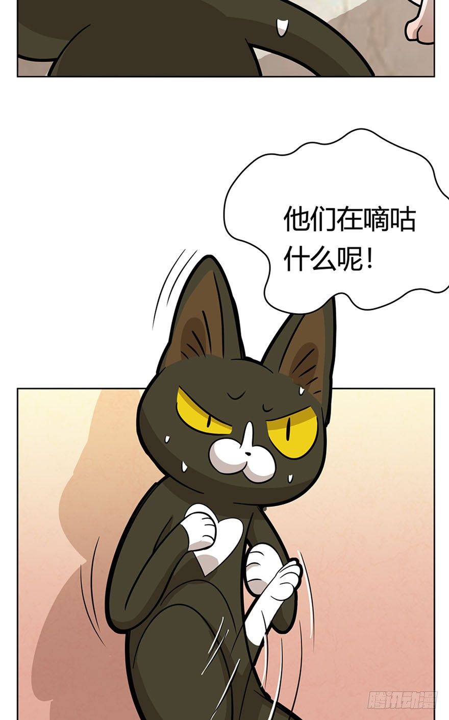 《回到过去变成猫外传》第14爪 服不服！ 第7页