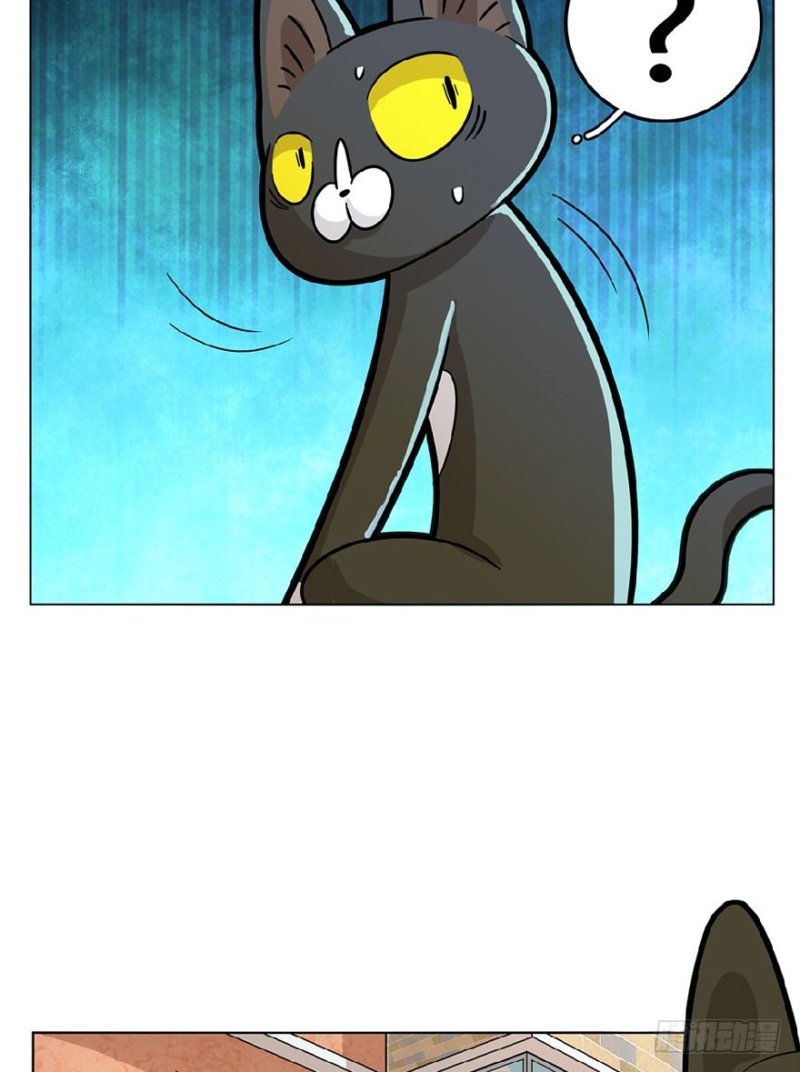 《回到过去变成猫外传》第13爪 怕不怕！ 第10页