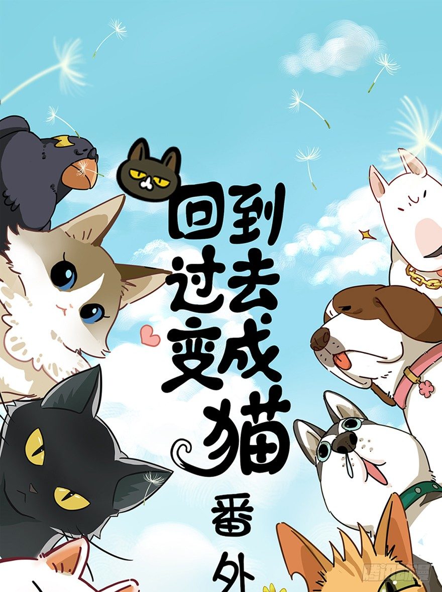 《回到过去变成猫外传》第13爪 怕不怕！ 第1页