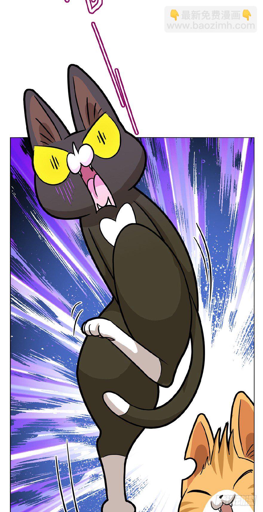 《回到过去变成猫外传》第13爪 怕不怕！ 第24页