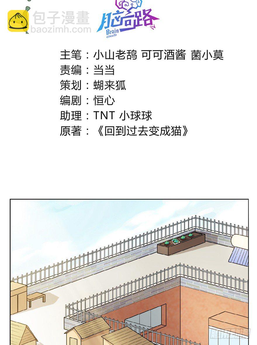 《回到过去变成猫外传》第13爪 怕不怕！ 第3页