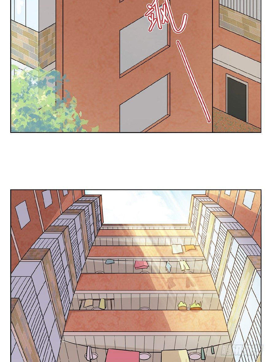 《回到过去变成猫外传》第13爪 怕不怕！ 第5页