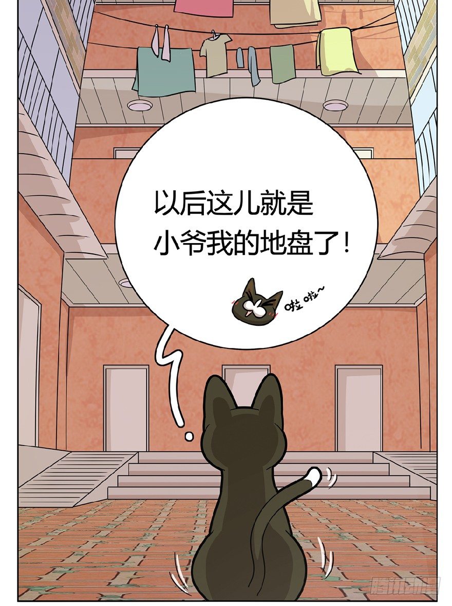 《回到过去变成猫外传》第13爪 怕不怕！ 第6页