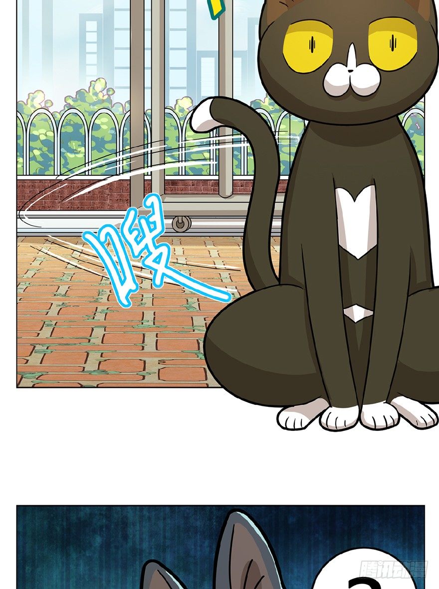 《回到过去变成猫外传》第13爪 怕不怕！ 第9页