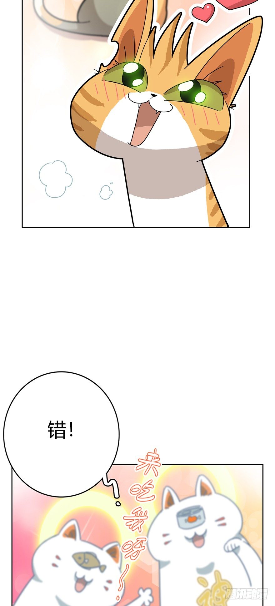 《回到过去变成猫外传》第16爪 是猫就跳100层 第13页