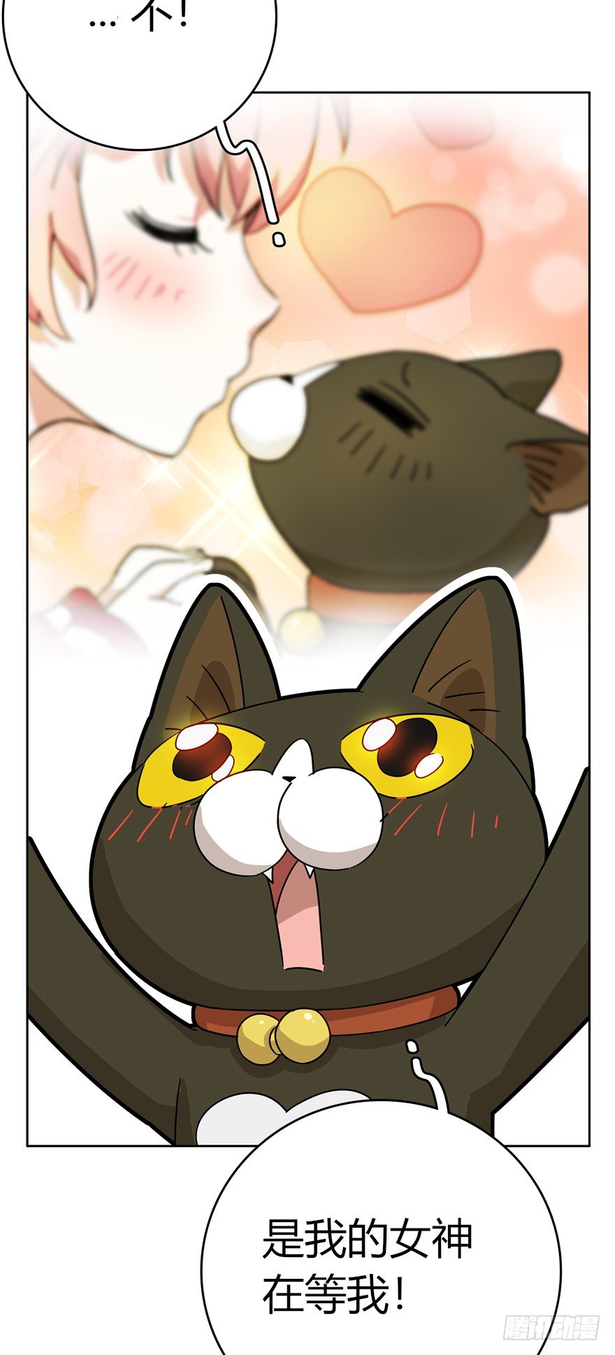 《回到过去变成猫外传》第16爪 是猫就跳100层 第15页