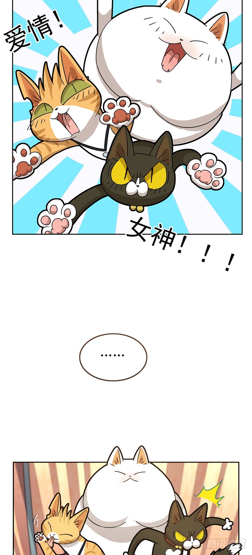 《回到过去变成猫外传》第16爪 是猫就跳100层 第17页