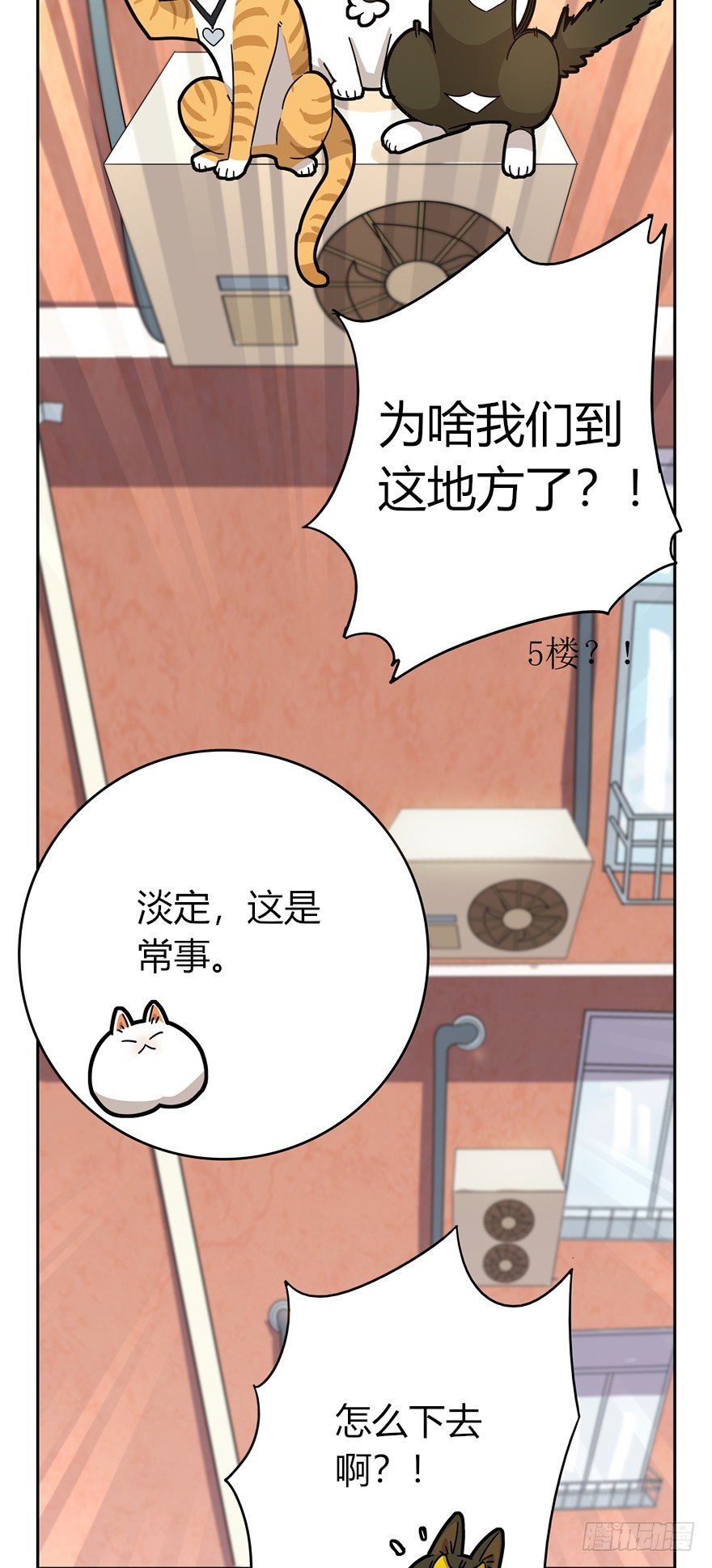 《回到过去变成猫外传》第16爪 是猫就跳100层 第18页