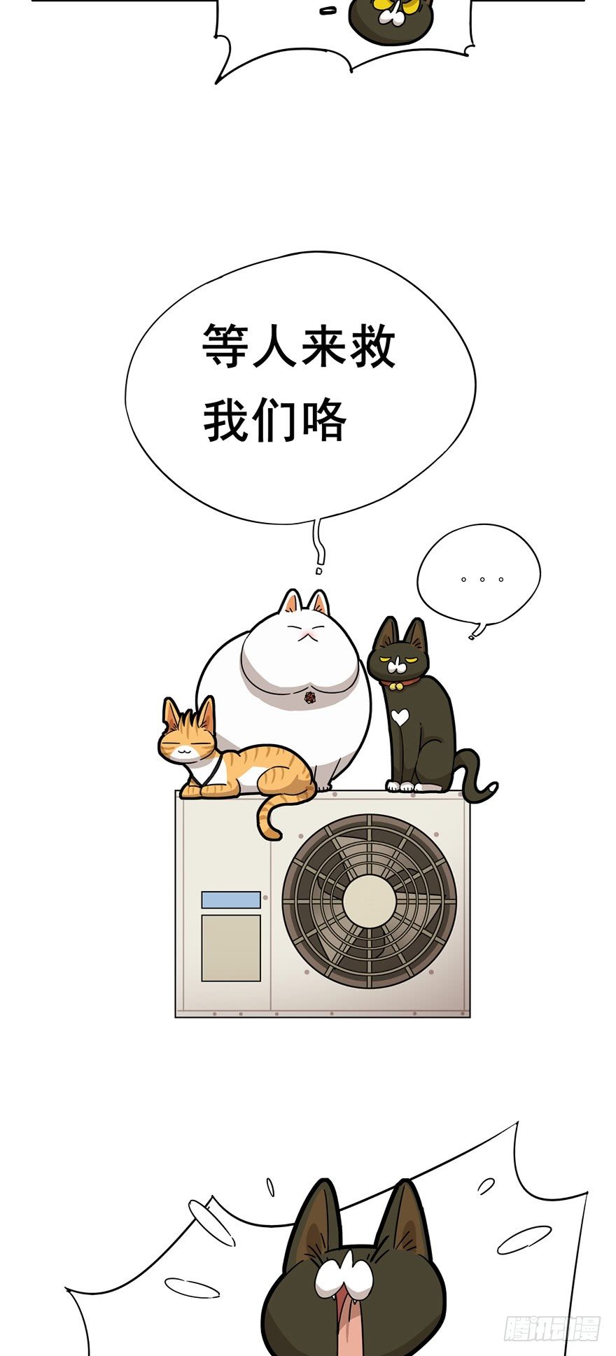 《回到过去变成猫外传》第16爪 是猫就跳100层 第19页