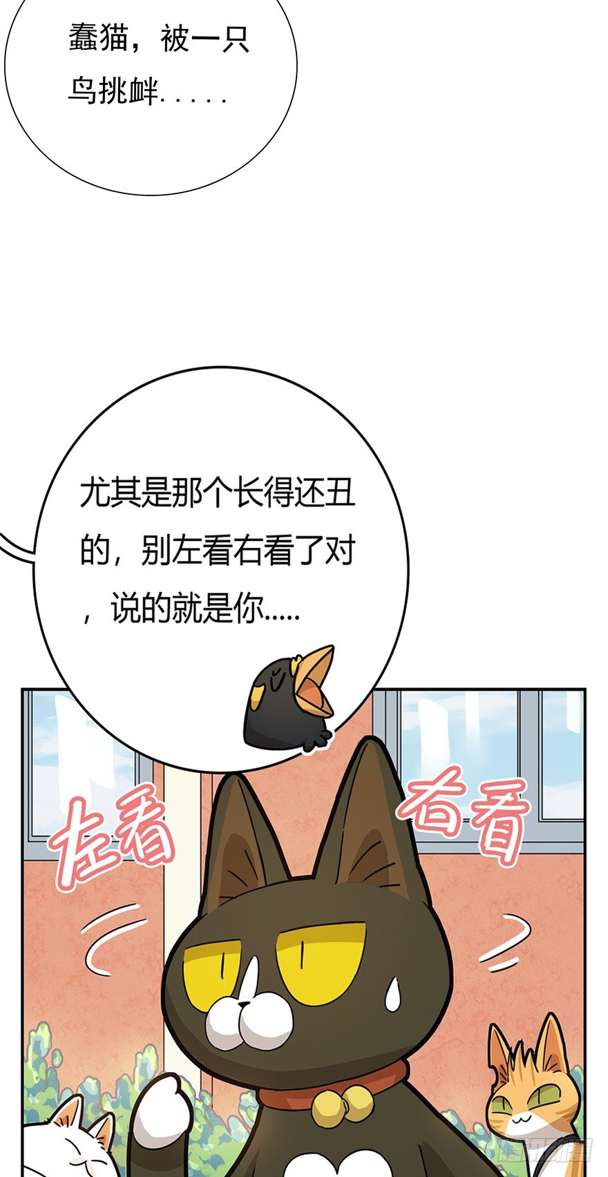 《回到过去变成猫外传》第16爪 是猫就跳100层 第4页