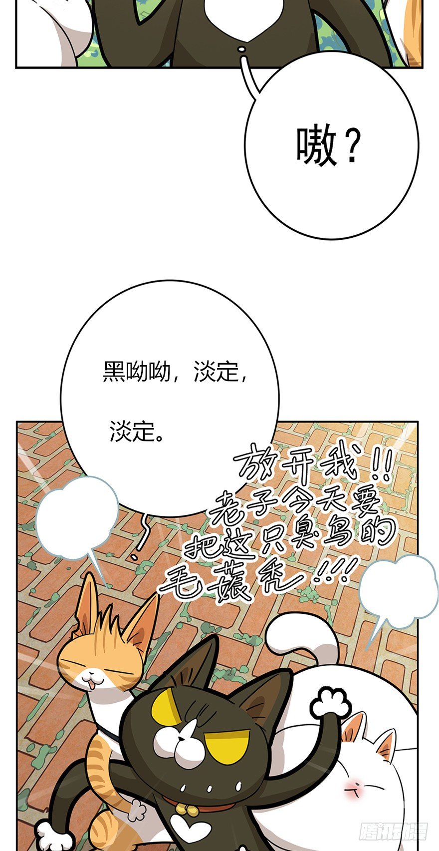 《回到过去变成猫外传》第16爪 是猫就跳100层 第5页