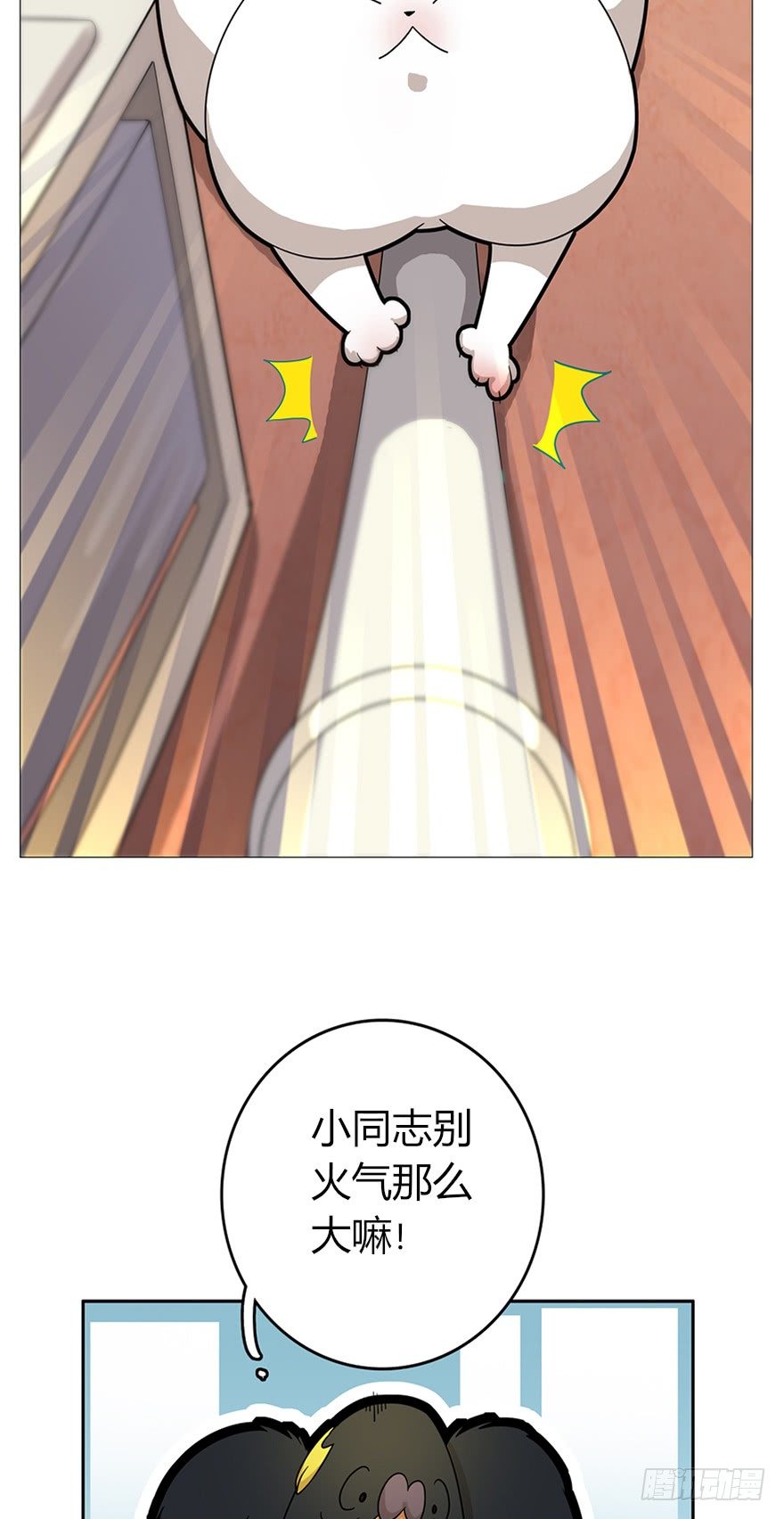 《回到过去变成猫外传》第16爪 是猫就跳100层 第9页