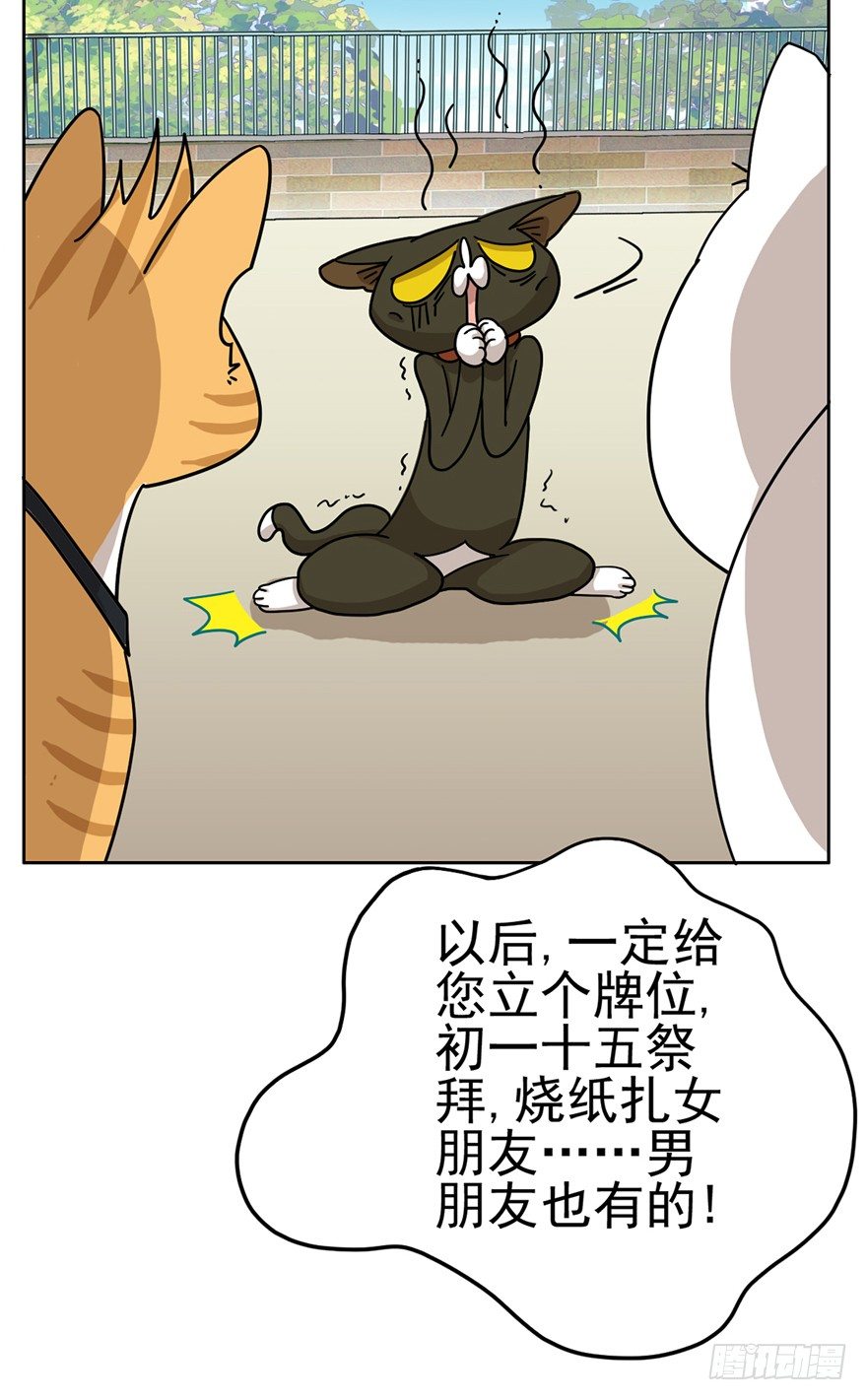 《回到过去变成猫外传》第15爪 亲！强身健脑了解一下吗 第14页