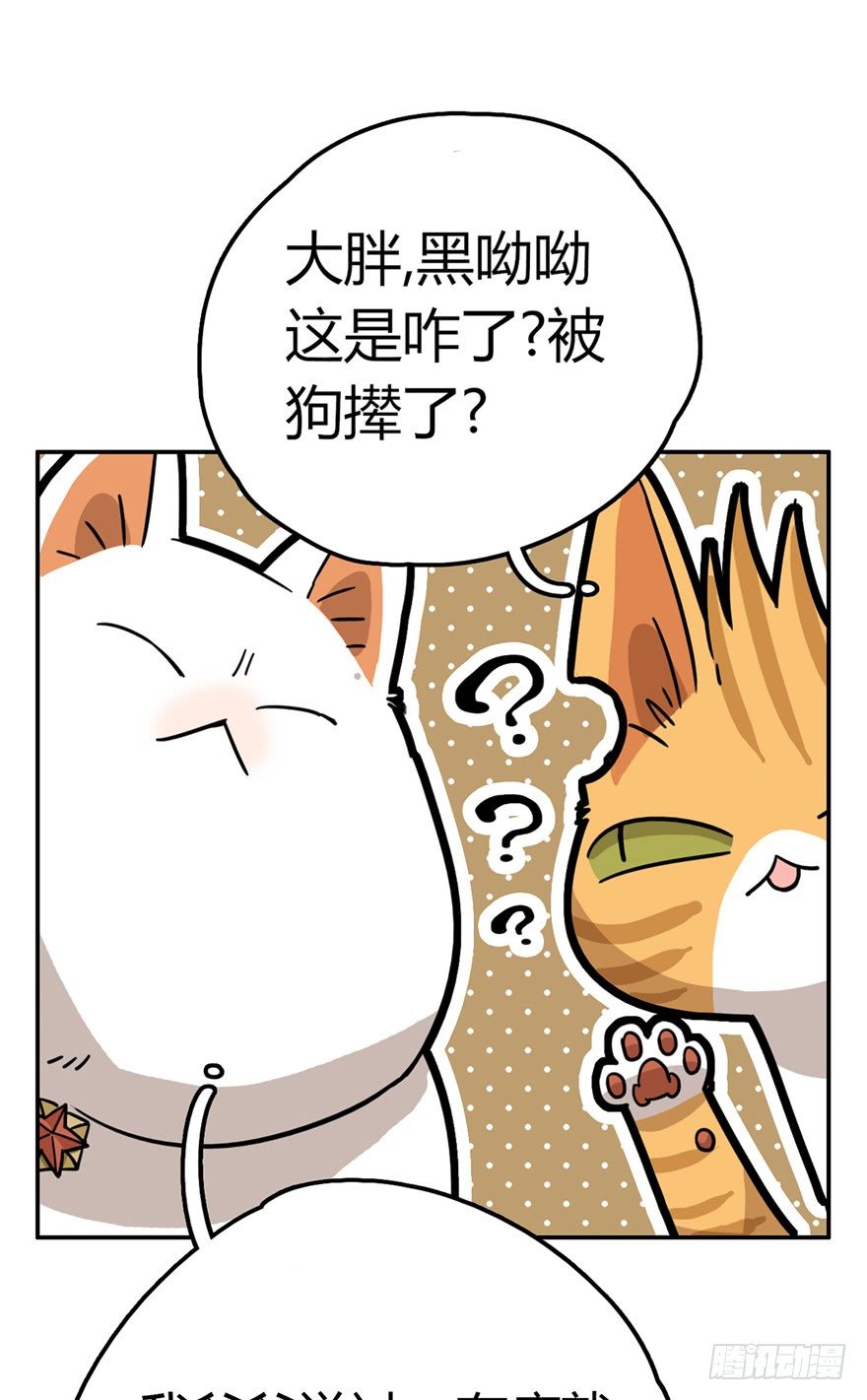 《回到过去变成猫外传》第15爪 亲！强身健脑了解一下吗 第15页