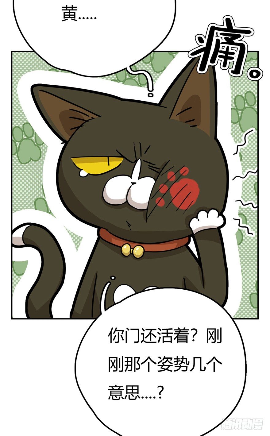 《回到过去变成猫外传》第15爪 亲！强身健脑了解一下吗 第17页