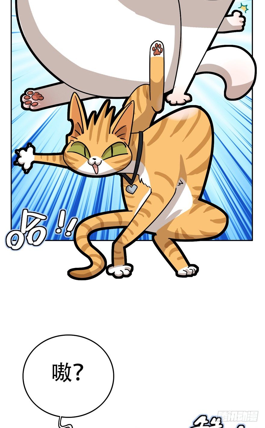 《回到过去变成猫外传》第15爪 亲！强身健脑了解一下吗 第19页