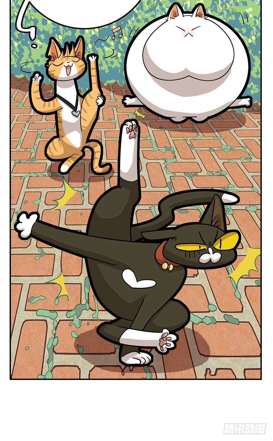 《回到过去变成猫外传》第15爪 亲！强身健脑了解一下吗 第24页