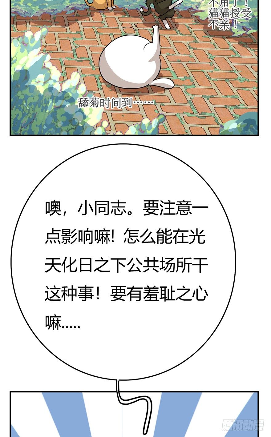《回到过去变成猫外传》第15爪 亲！强身健脑了解一下吗 第28页