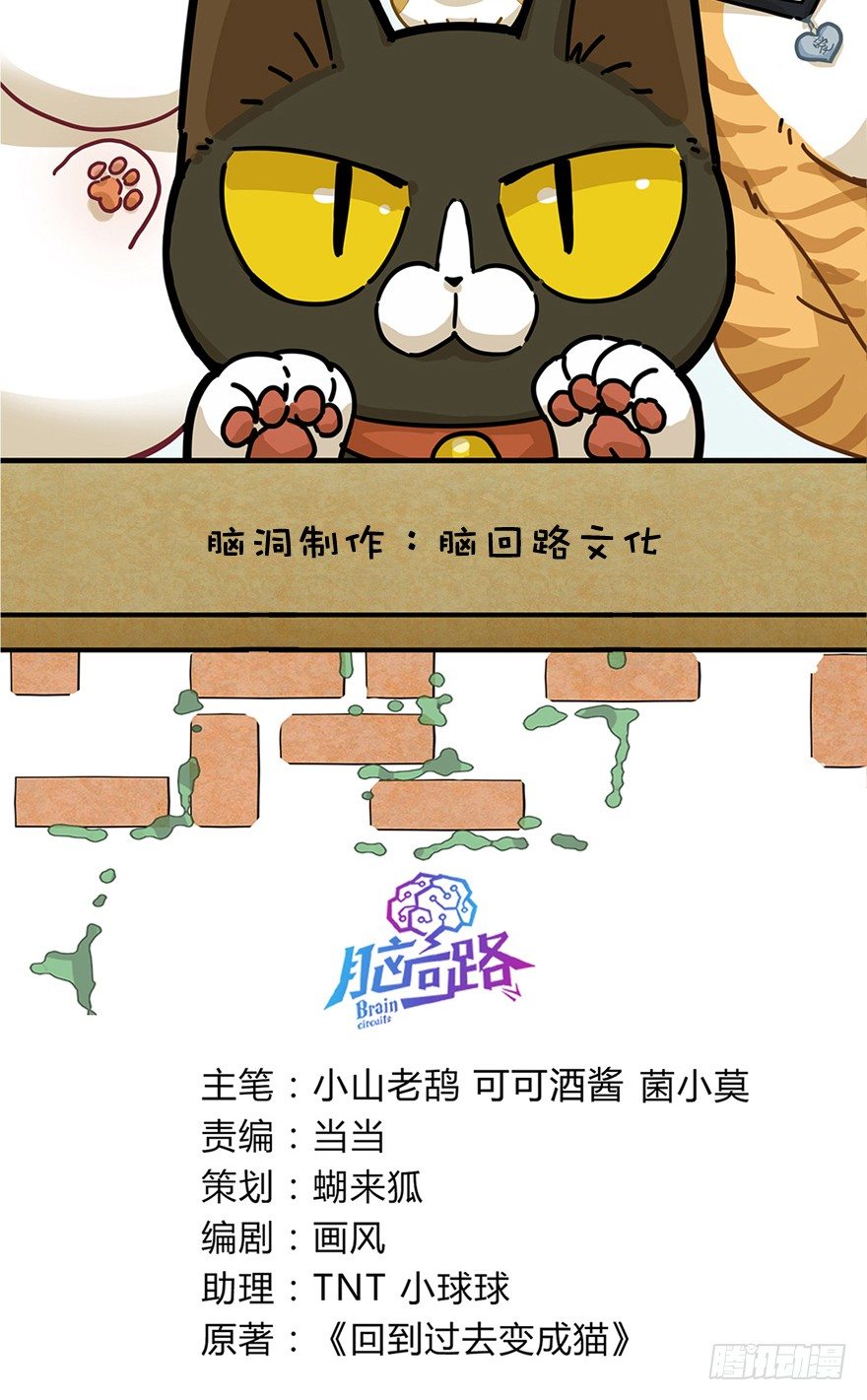 《回到过去变成猫外传》第15爪 亲！强身健脑了解一下吗 第2页