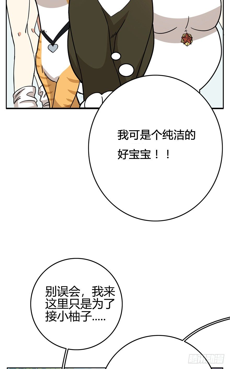 《回到过去变成猫外传》第20爪 夏天真好（上） 第10页
