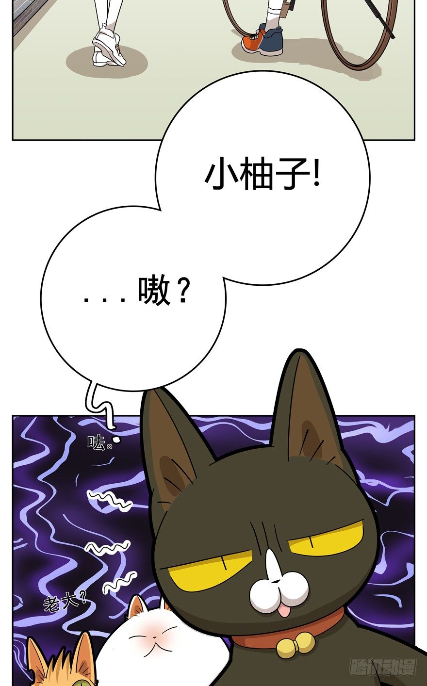 《回到过去变成猫外传》第20爪 夏天真好（上） 第13页