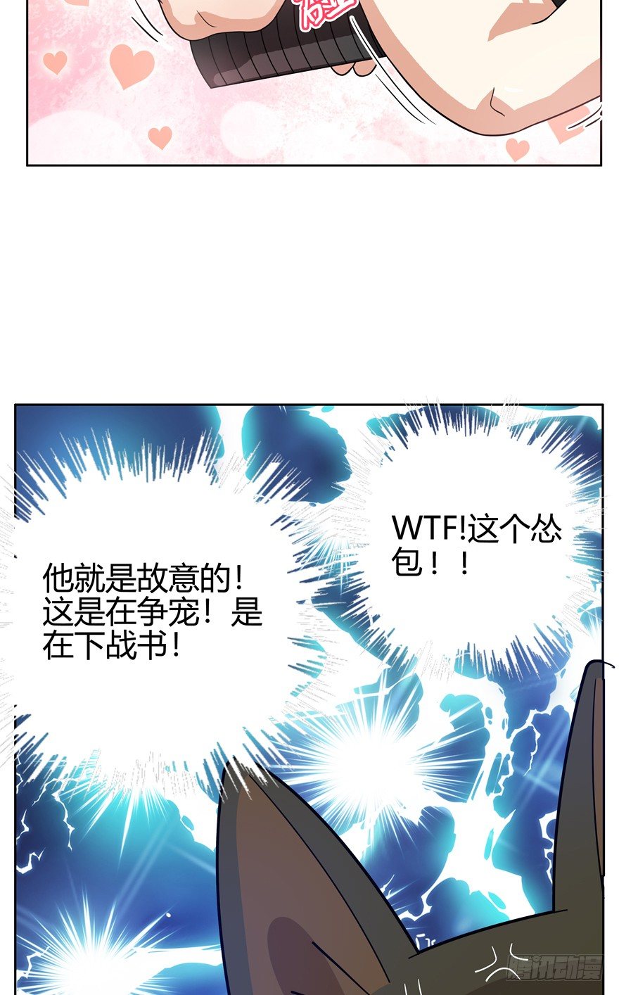 《回到过去变成猫外传》第20爪 夏天真好（上） 第16页