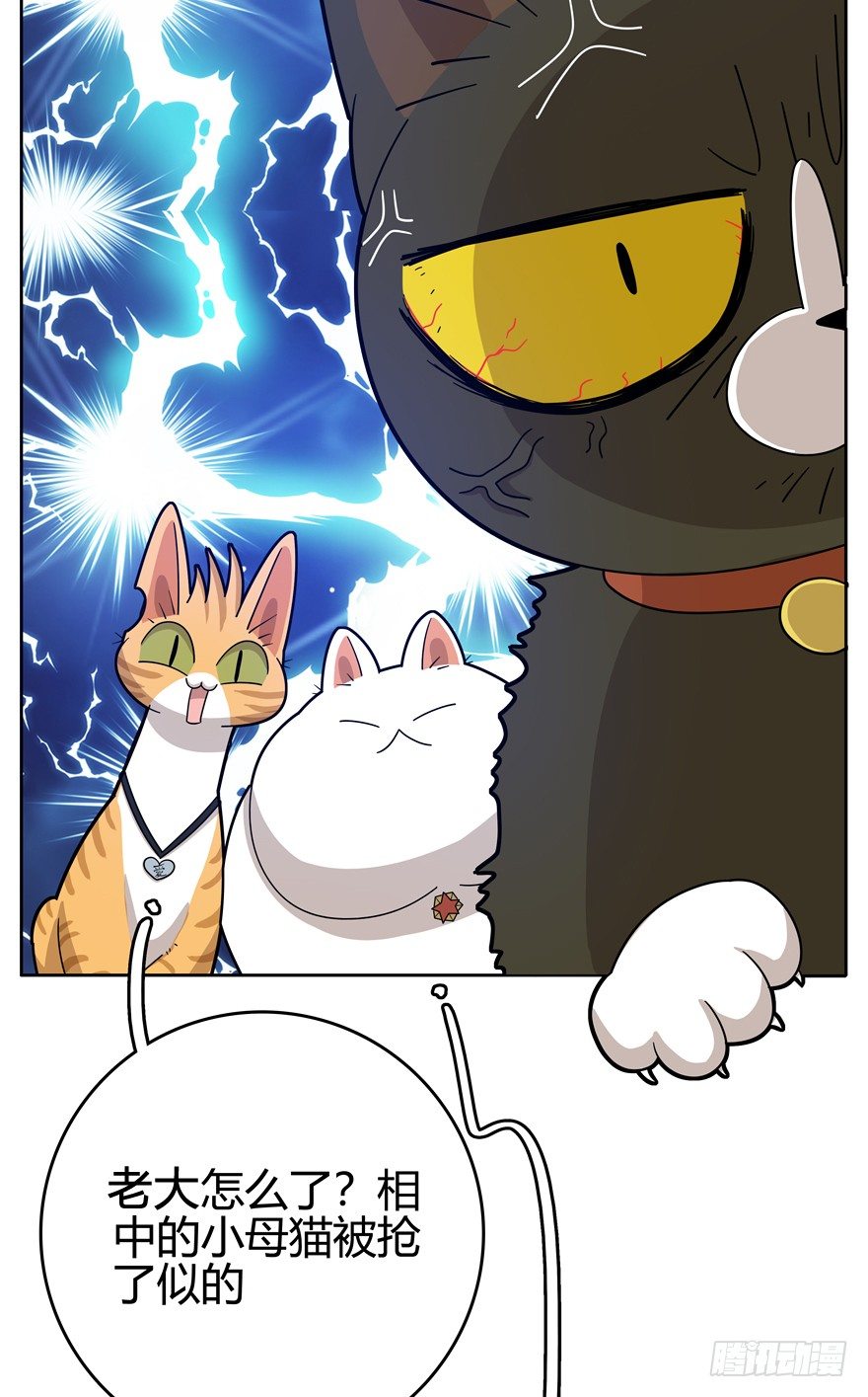 《回到过去变成猫外传》第20爪 夏天真好（上） 第17页