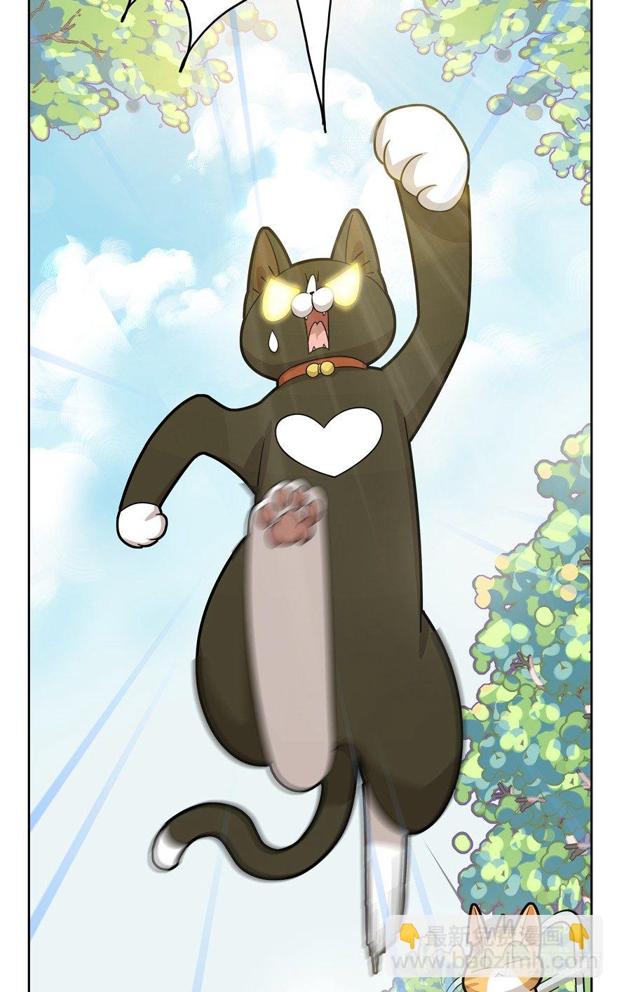 《回到过去变成猫外传》第20爪 夏天真好（上） 第19页