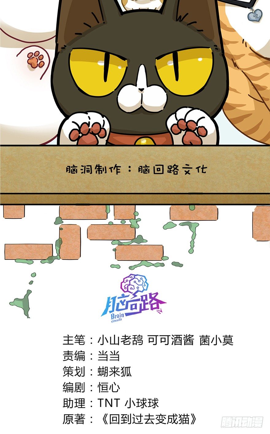 《回到过去变成猫外传》第20爪 夏天真好（上） 第2页