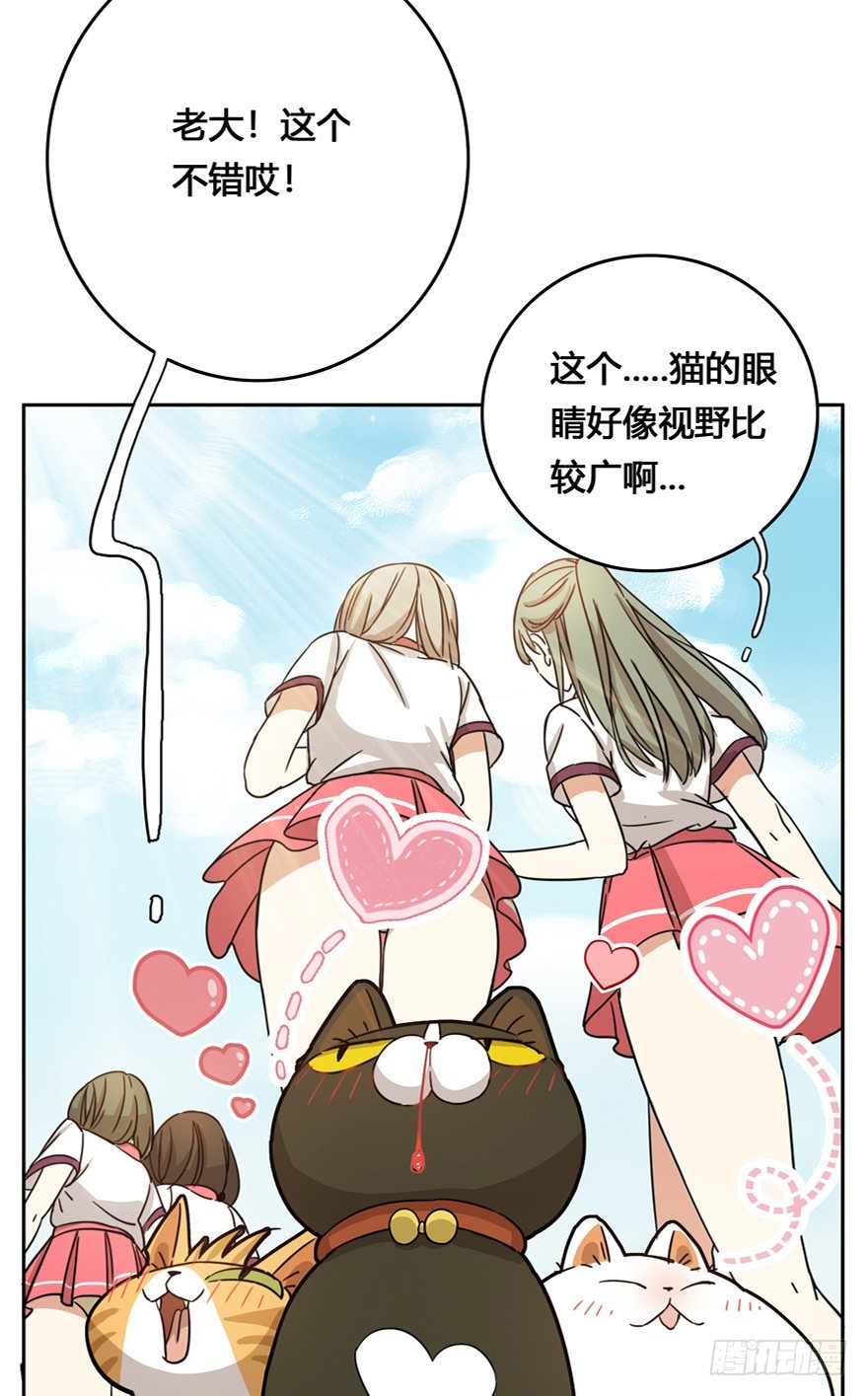 《回到过去变成猫外传》第20爪 夏天真好（上） 第9页