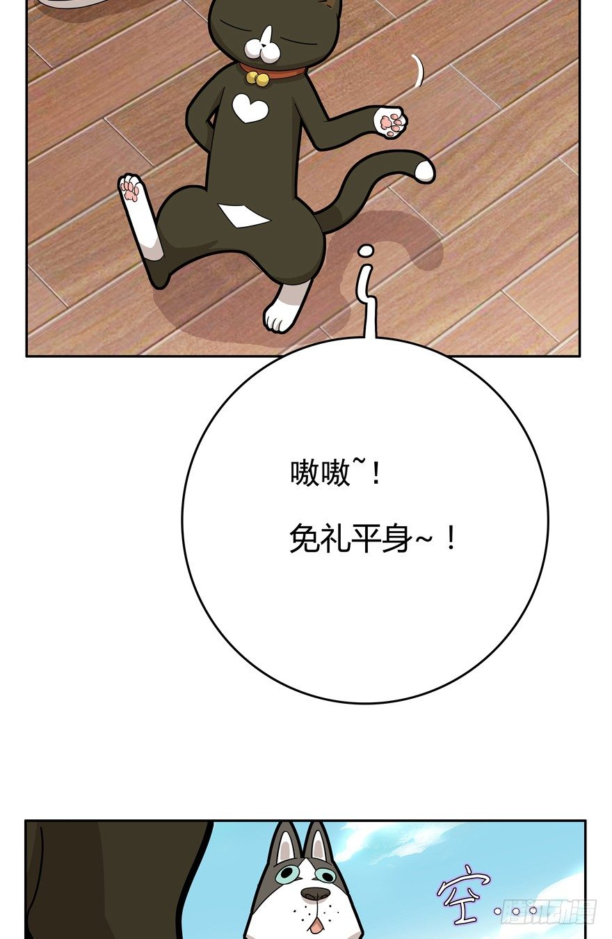 《回到过去变成猫外传》第17爪 猫生赢家（上） 第10页