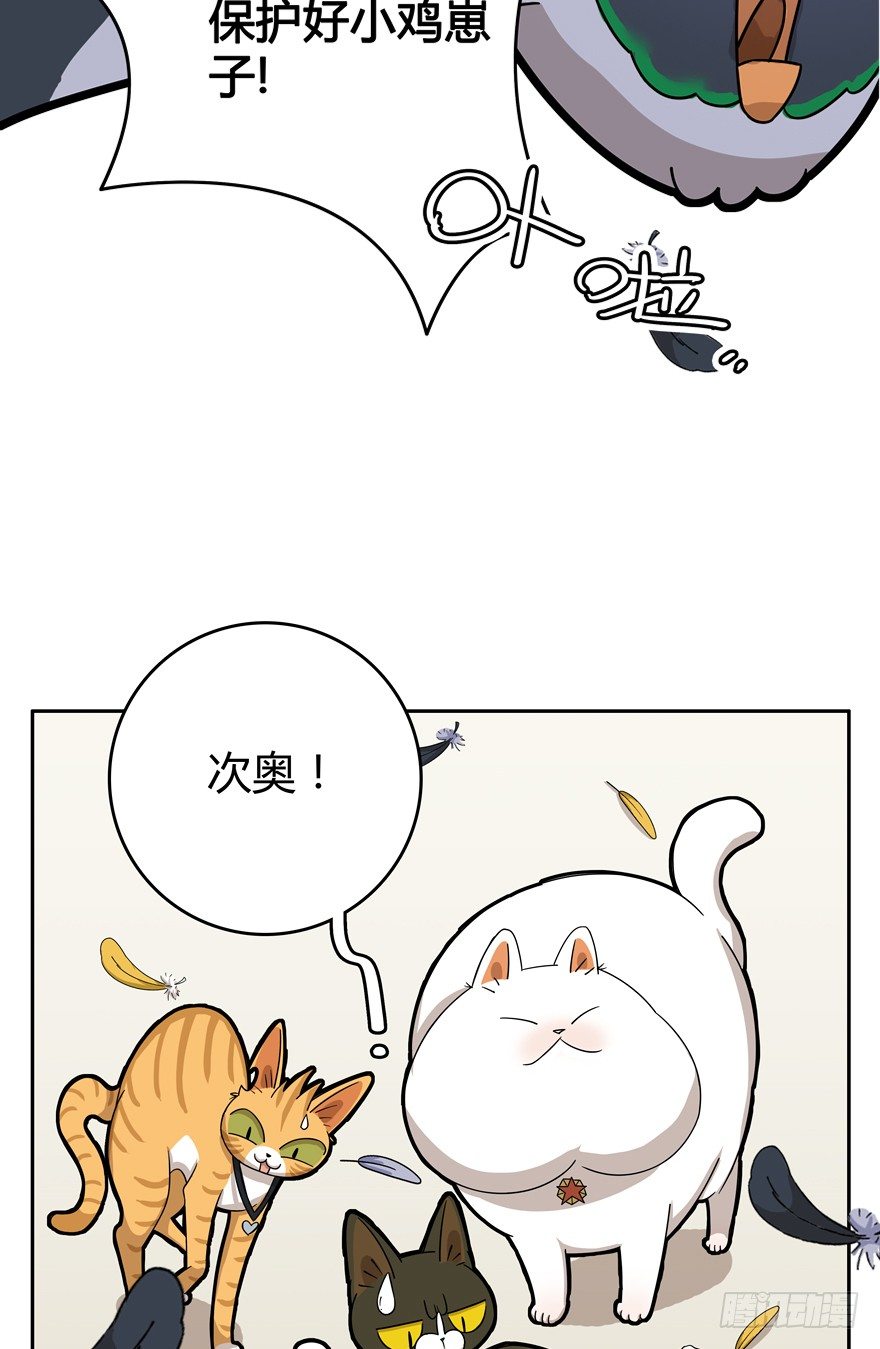 《回到过去变成猫外传》第17爪 猫生赢家（上） 第16页
