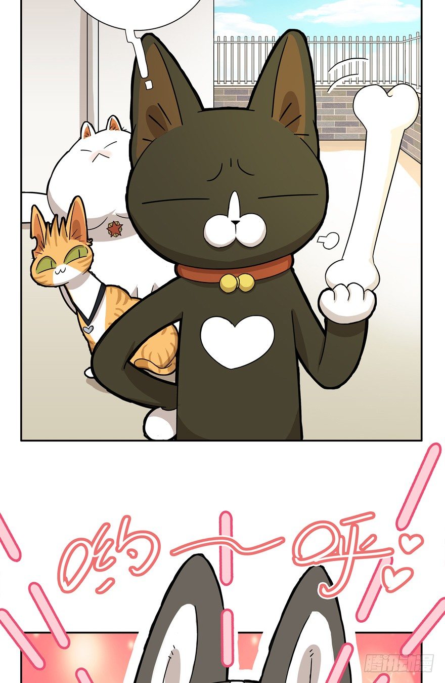 《回到过去变成猫外传》第17爪 猫生赢家（上） 第19页