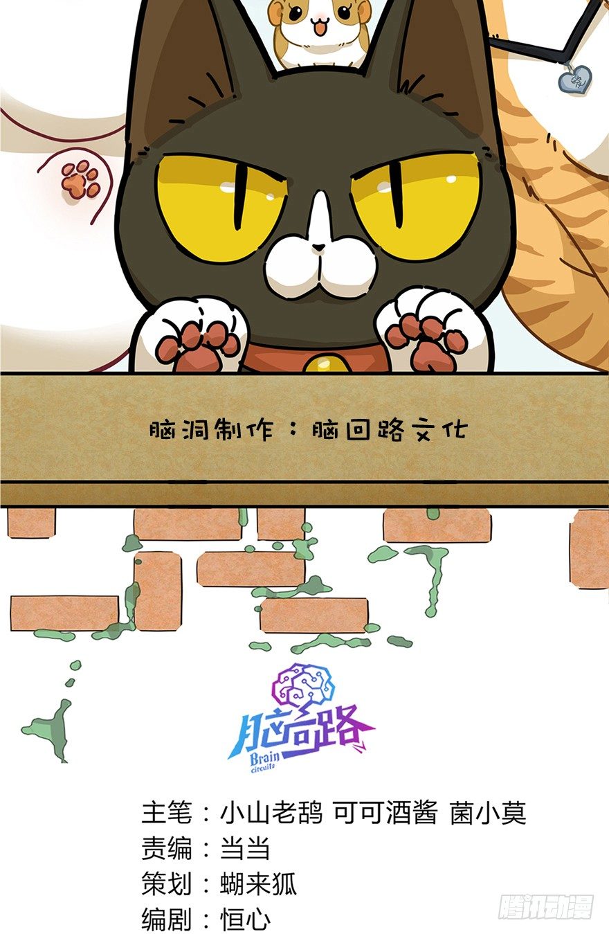 《回到过去变成猫外传》第17爪 猫生赢家（上） 第2页