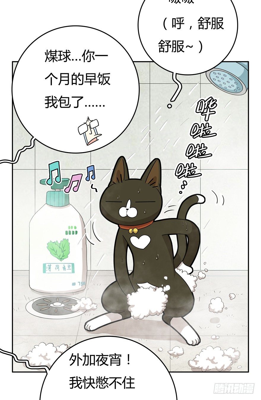 《回到过去变成猫外传》第17爪 猫生赢家（上） 第6页