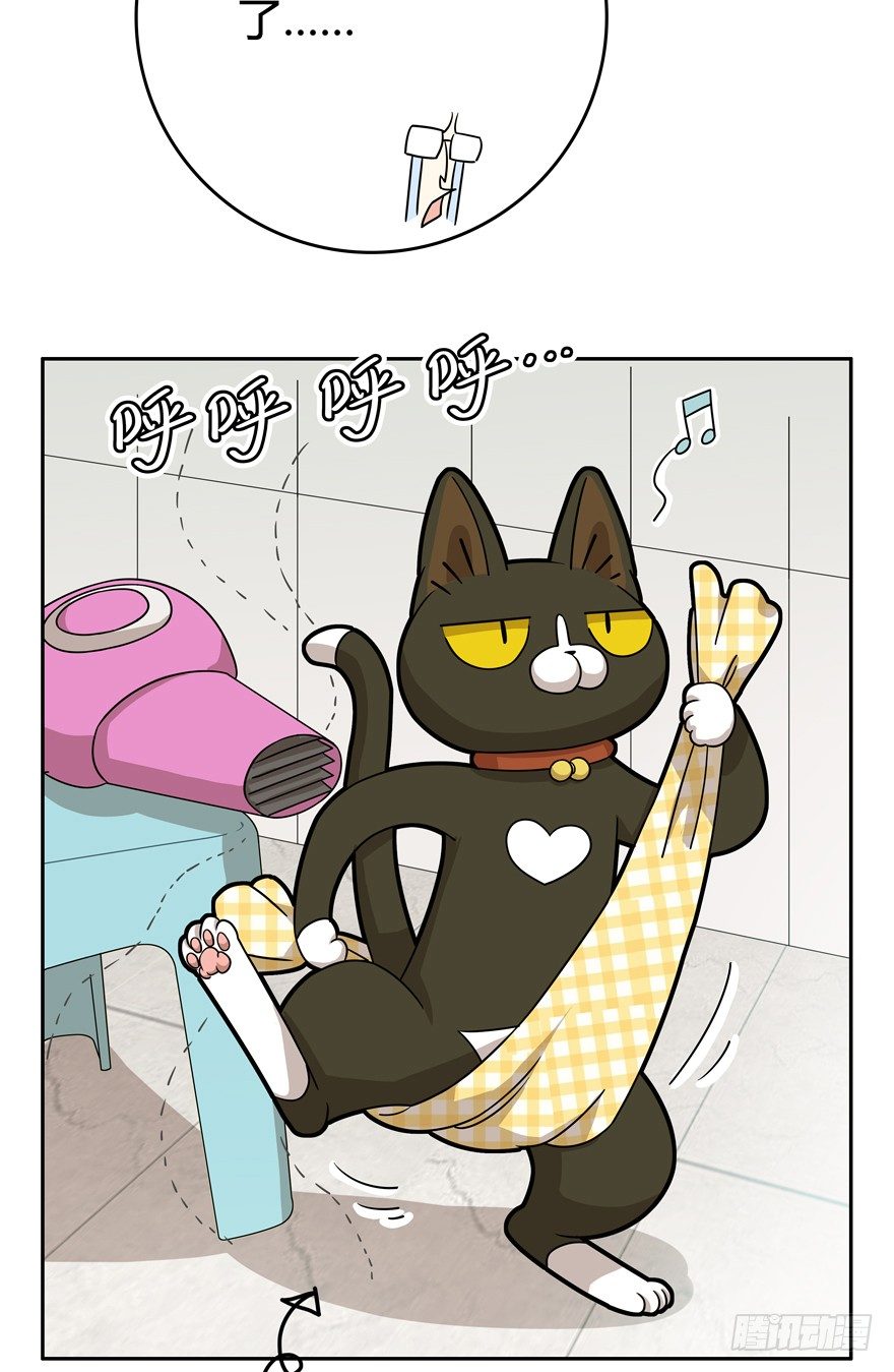 《回到过去变成猫外传》第17爪 猫生赢家（上） 第7页