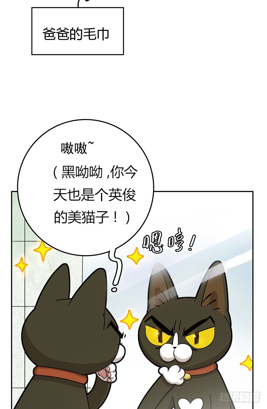 《回到过去变成猫外传》第17爪 猫生赢家（上） 第8页