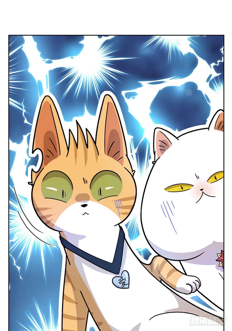 《回到过去变成猫外传》第18爪 猫生赢家（下） 第10页