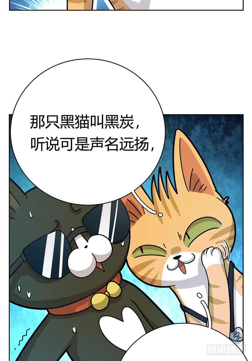 《回到过去变成猫外传》第18爪 猫生赢家（下） 第11页