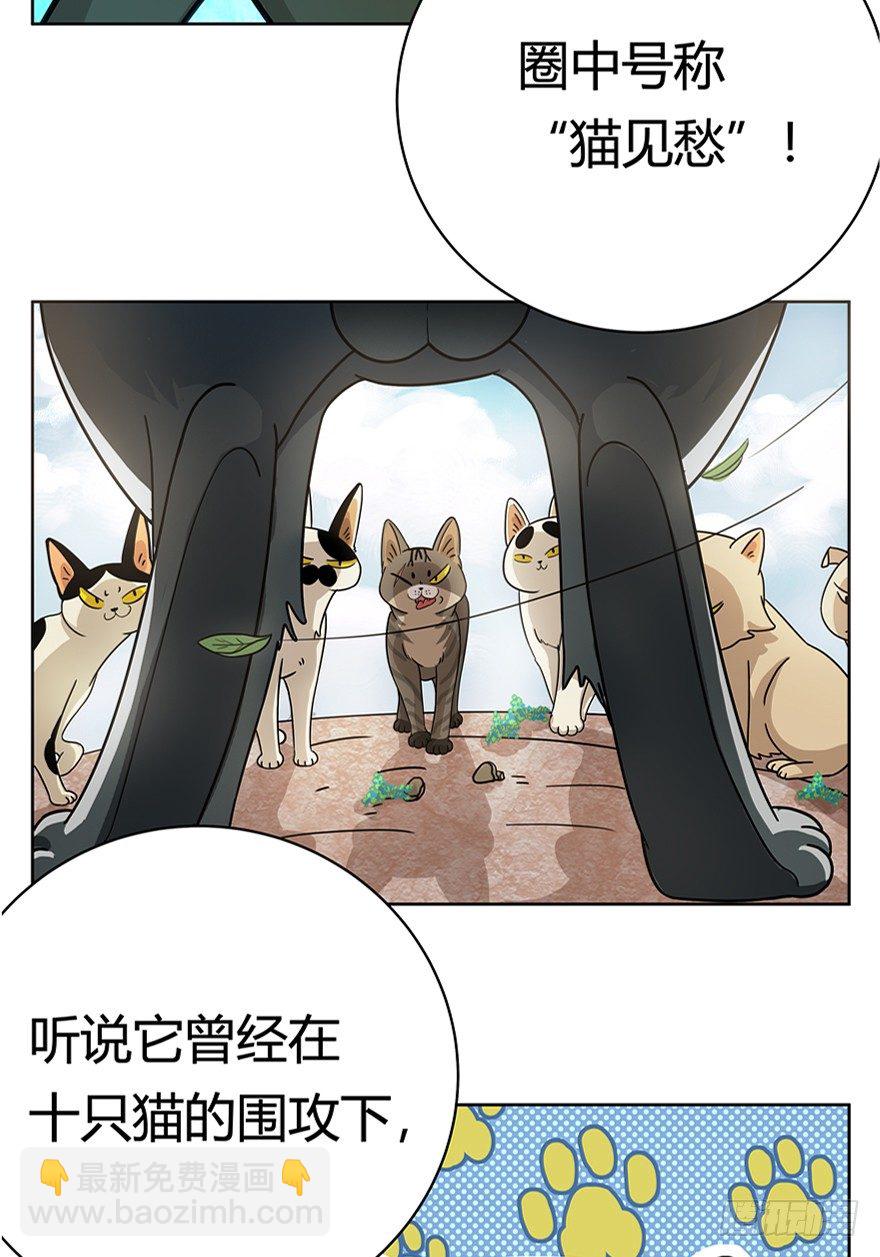 《回到过去变成猫外传》第18爪 猫生赢家（下） 第12页