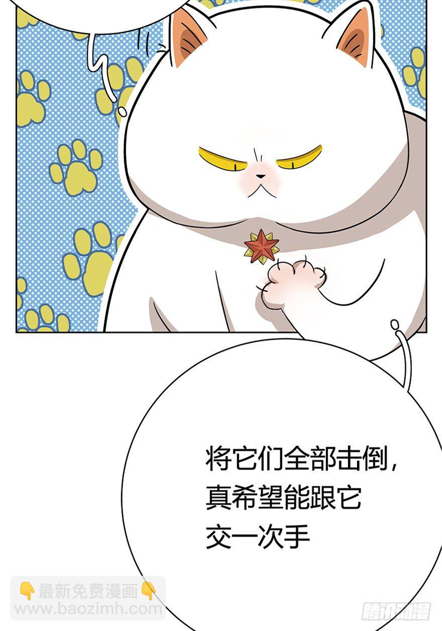 《回到过去变成猫外传》第18爪 猫生赢家（下） 第13页