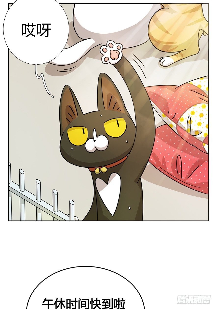 《回到过去变成猫外传》第18爪 猫生赢家（下） 第16页